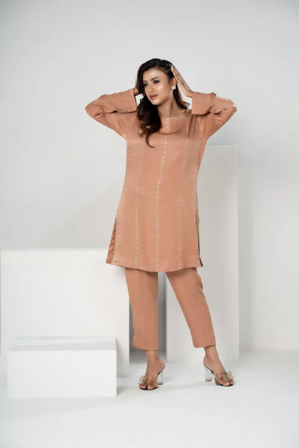 Parveen Glow – Velvet 2-Piece Dress with Karchupi Embroidery & Festive Detailing | BenBerg