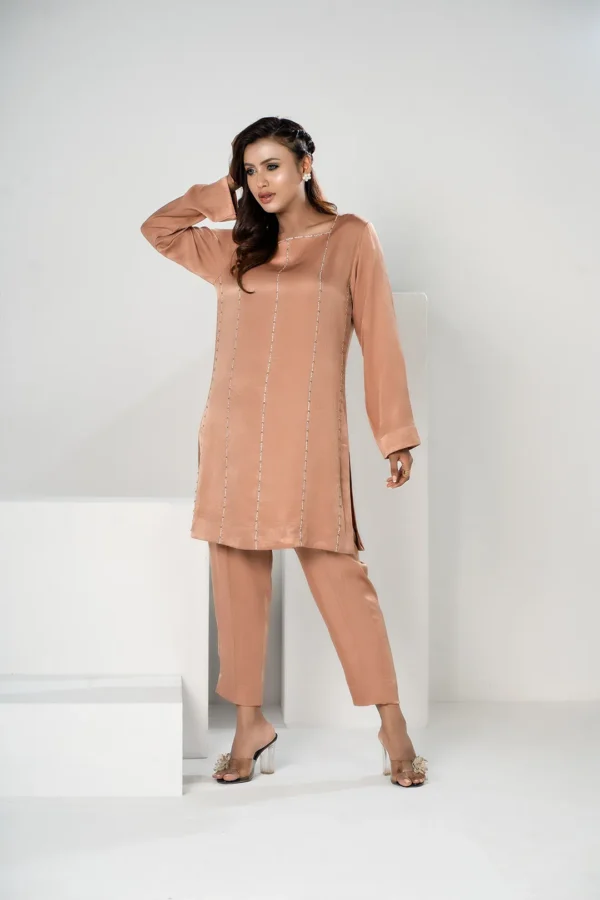 Parveen Glow – Velvet 2-Piece Dress with Karchupi Embroidery & Festive Detailing | BenBerg - Image 6