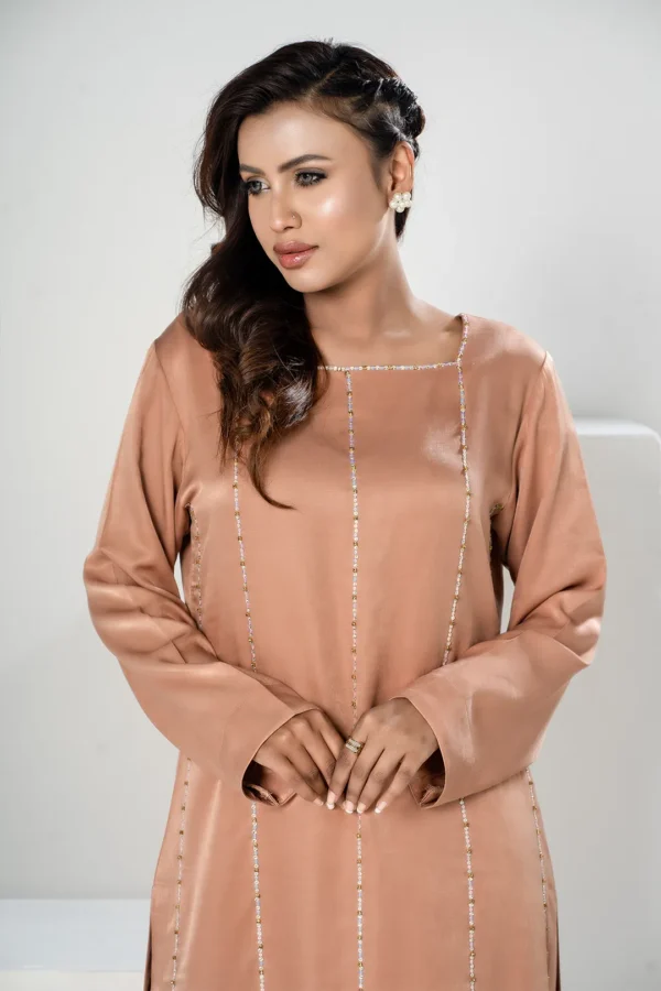 Parveen Glow – Velvet 2-Piece Dress with Karchupi Embroidery & Festive Detailing | BenBerg - Image 9
