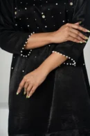 Mahnoor Charm – Velvet 2-Piece Karchupi Embroidered Ensemble for Elegant Evenings | BenBerg