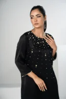 Mahnoor Charm – Velvet 2-Piece Karchupi Embroidered Ensemble for Elegant Evenings | BenBerg